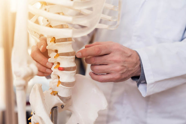 How Does Chiropractic Work?