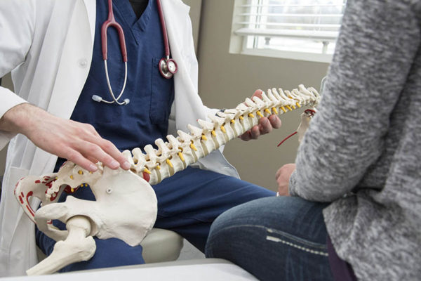 Chiropractic – What To Expect